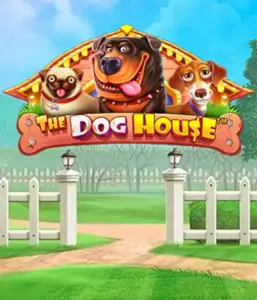 Pragmatic Play's The Dog House, featuring a delightful adventure through charming canines. Enjoy gameplay elements including sticky wilds, aimed at providing entertaining gameplay. Perfect for those who enjoy a cheerful atmosphere and the opportunity to win big.